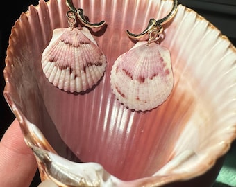 Shell Earrings 18k Gold Plated