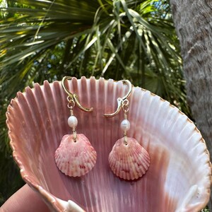 Dainty Shell and Pearl Earrings, handmade, natural freshwater pearls