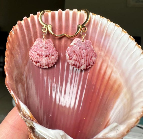 Dainty Shell Earrings Gold Hoops