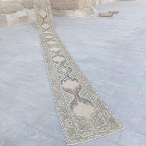 May include: A long, narrow runner rug featuring a repeating geometric pattern in shades of beige, taupe, and dark brown. The rug has a central column of interconnected hexagonal motifs framed by intricate floral and linear borders along the edges.