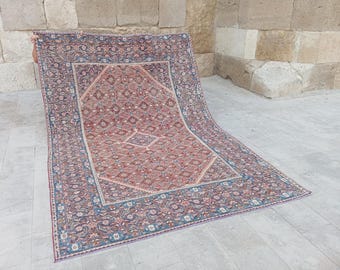 May include: A large rectangular area rug featuring a central field of intricate geometric and floral patterns in shades of terracotta, deep blue, and cream. The rug has a wide, ornate border with repeating floral motifs and a distinct central medallion.