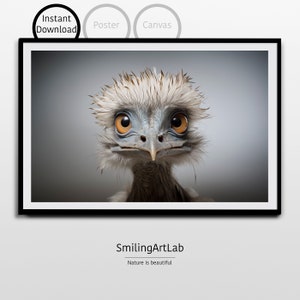 Emu Bild im Fotografie Stil - Australische Tierszene - Tier Wohnkultur - Emu Bild - Kinderzimmer Tiere - Kinderzimmer Dekor