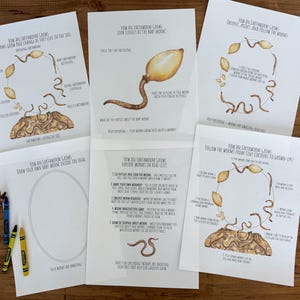 May include: A collection of educational printables on white paper, featuring watercolor illustrations of earthworms and their life cycle. The text includes instructions and diagrams for learning about earthworms. Crayons are visible on the wooden surface.