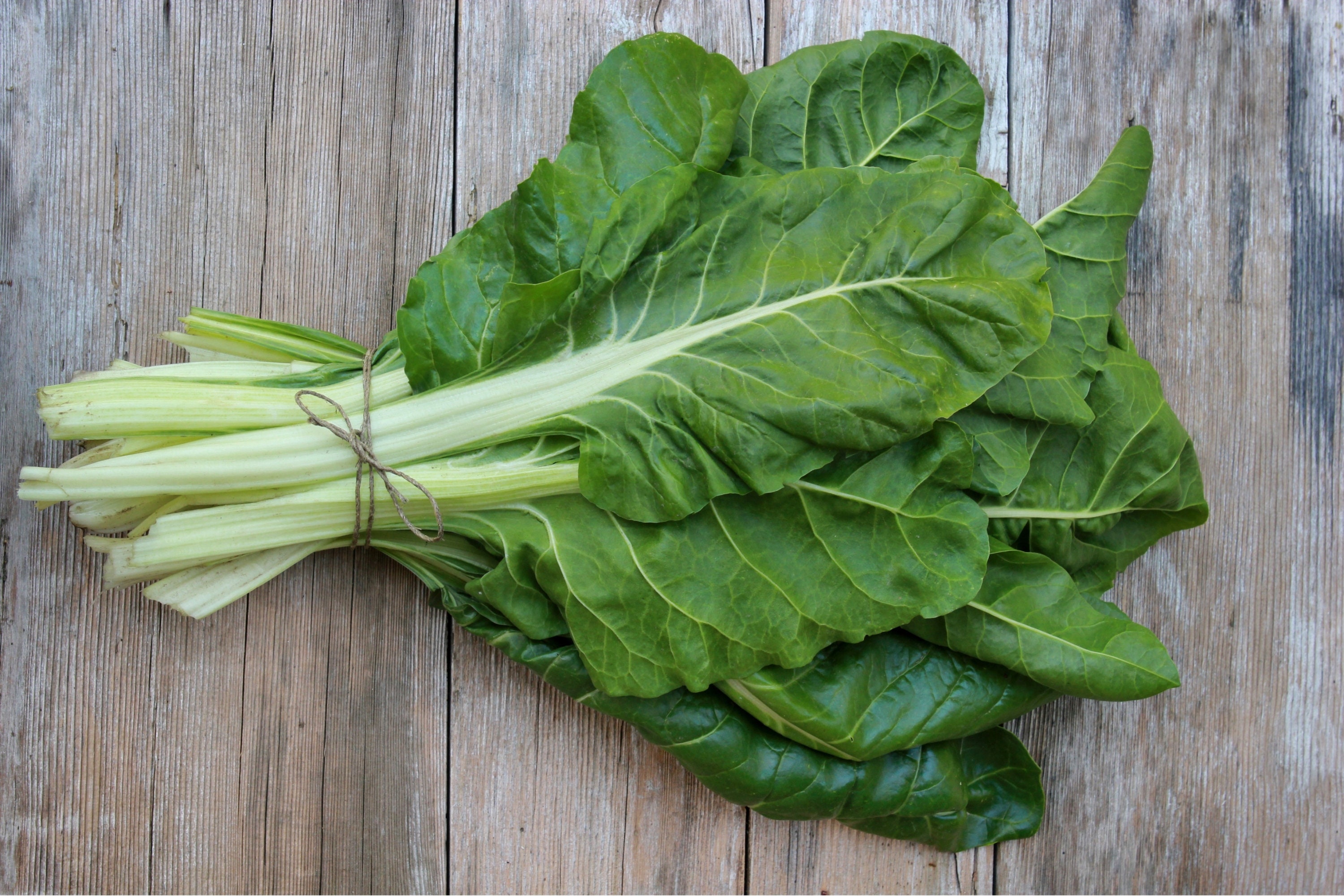 Biologische snijbietzaden, 50+ count biologische snijbieterfstukzaden, verfrommelde bladeren, voor tuin en pot, open bestuiving, genetisch gemodificeerd (bèta vulgaris)