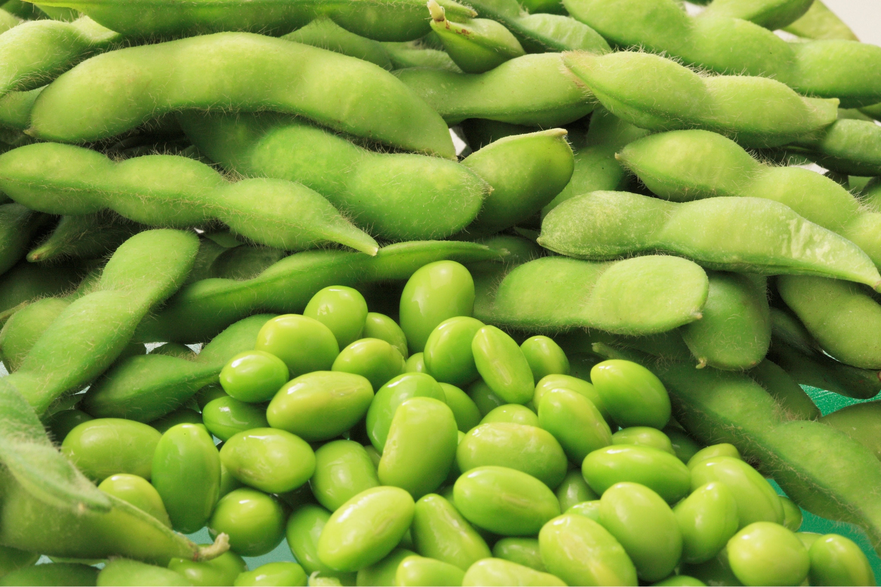 Bio Bohnensamen Chiba Green Samenliebe BIO Sojabohn Produktbild-Vorschau 11