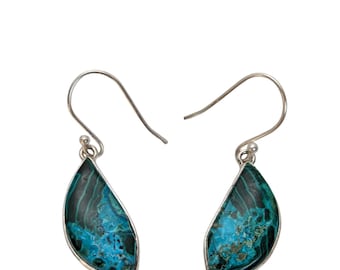 Chrysocolla-Malachite Earrings / Stone and Mineral Jewelry