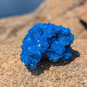 May include: A cluster of bright blue crystals on a rough, brown rock surface.