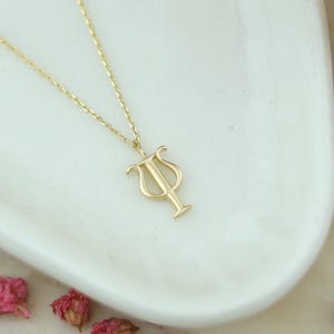 Op de afbeelding: Een delicate goudkleurige ketting met een lierhanger. De ketting wordt gepresenteerd op een wit, gebogen oppervlak, met gedroogde roze en witte bloemen op de achtergrond. De hanger is een gestileerd muziekinstrument.