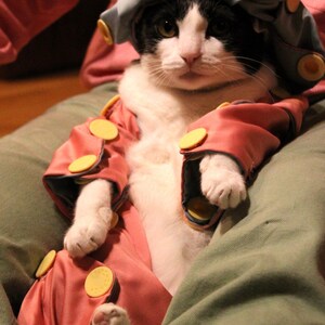 May include: A black and white cat wearing a light blue hat with yellow circles and a pink outfit with yellow buttons. The cat is sitting on a green surface.