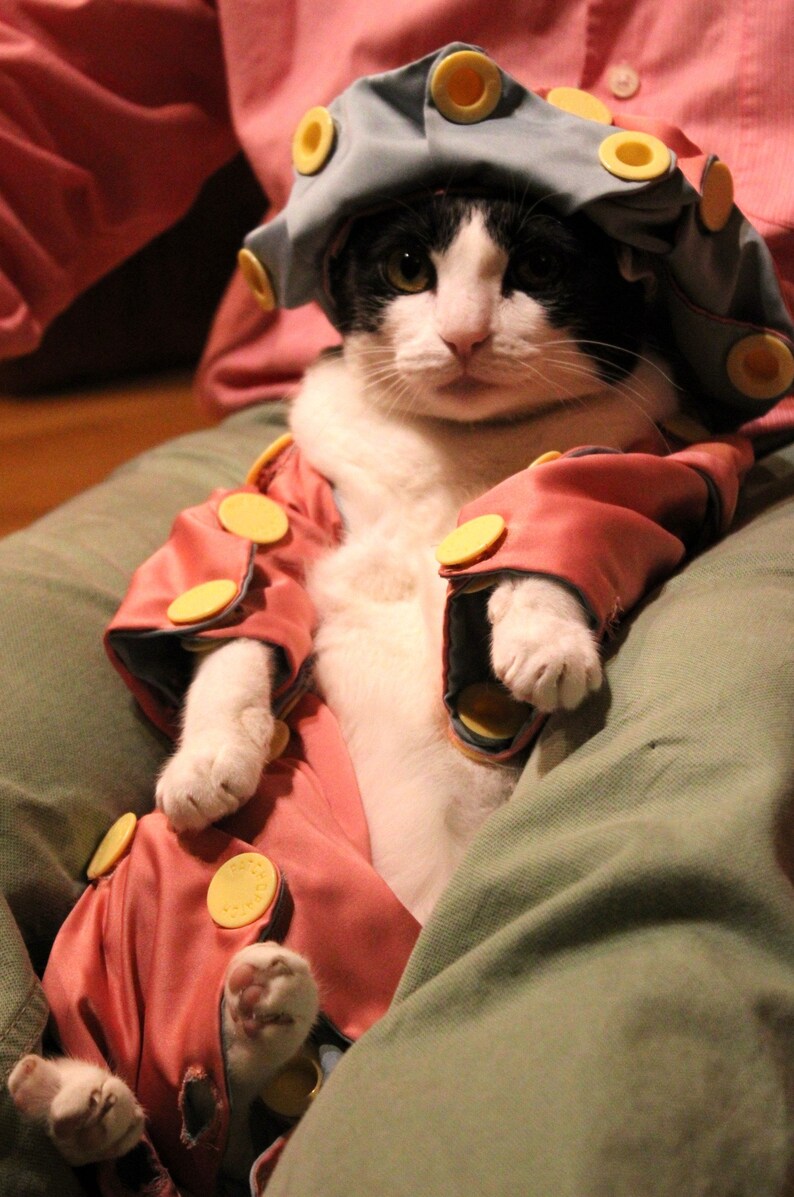 May include: A black and white cat wearing a light blue hat with yellow circles and a pink outfit with yellow buttons. The cat is sitting on a green surface.