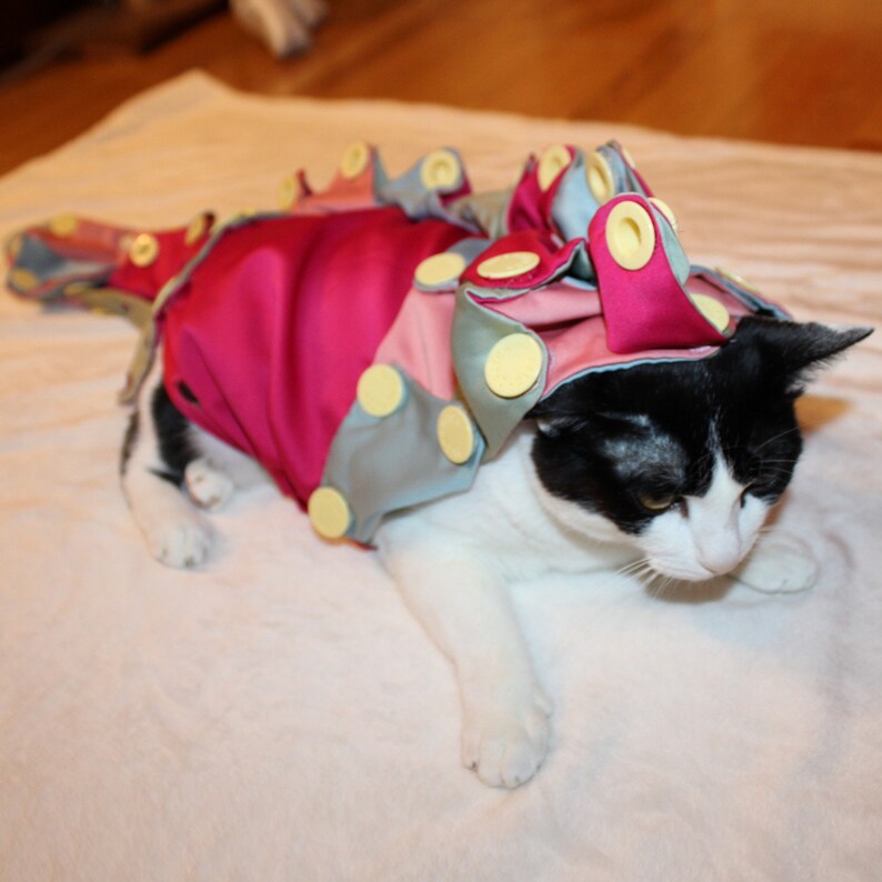 May include: A black and white cat wearing a pink and blue costume with yellow accents. The costume has a ruffled design and covers the cat's back and head, creating a whimsical look. The cat is lying on a white surface.