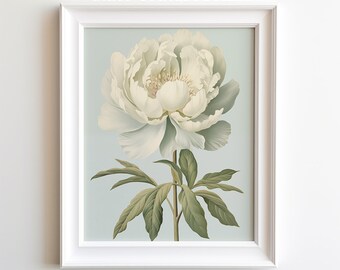 White Peony Flower Art Print Botanical Watercolors Illustration Instant ...