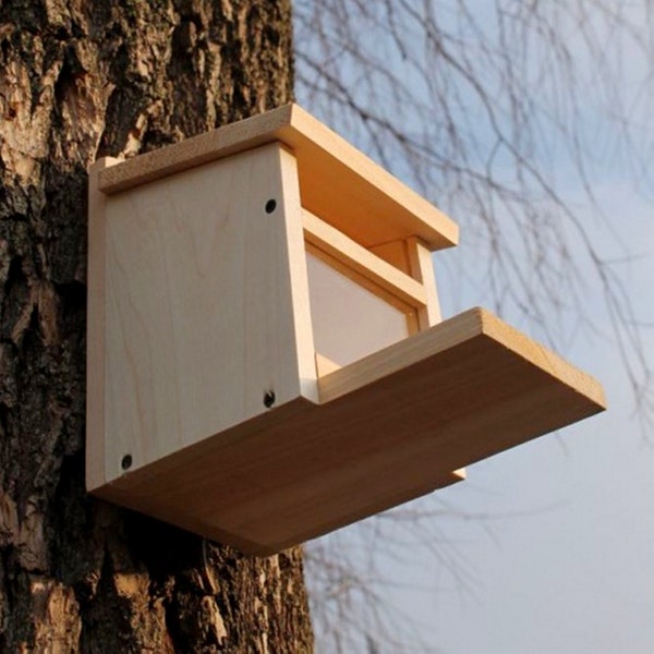 Squirrel house, squirrel feeder, Hanging squirrel feeder, unique feeders, wooden feeders, bird feeders for the outdoors