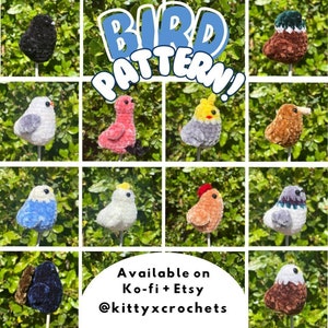 May include: A collage of 12 crocheted bird amigurumi patterns. The birds are in various colours and styles, including blue, pink, white, brown, and grey. The text "BIRD PATTERN!" is in the centre of the image. The text "Available on Ko-fi + Etsy @kittyxcrochets" is at the bottom of the image.