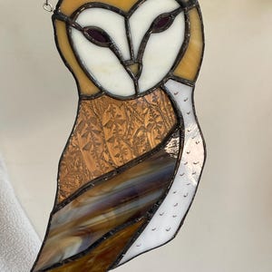 Barn Owl