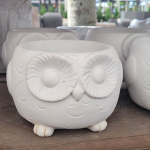 May include: White ceramic owl planter with a round opening and detailed eyes. The planter is designed to look like an owl with a textured body and a small beak.