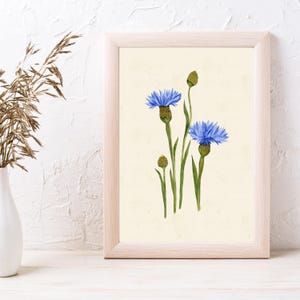 Blue Cornflower Watercolor Poster | Wildflower Summer Wall Art | Perfect Botanical Print for Floral and Farmhouse Home Decor