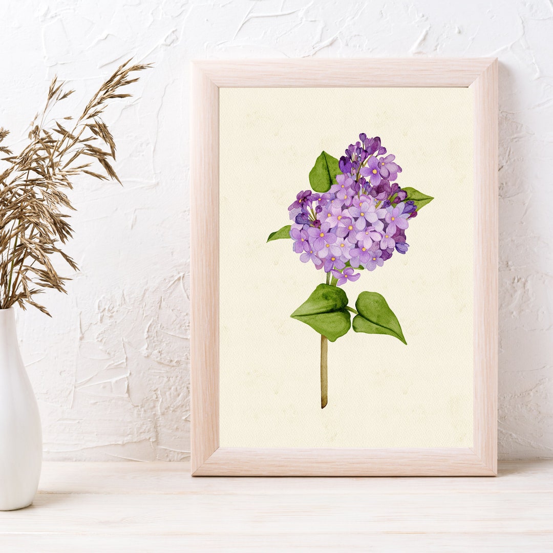 Lilac Watercolor Poster | Purple Wildflower Spring Wall Art | Perfect ...