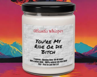 You're My Ride Or Die Bitch Various 9oz Scented Soy Candles Bricks Funny candles gifts for her Funny Gift Ideas Best Friend Gifts wedding