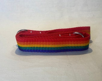 Rainbow Skate Leash