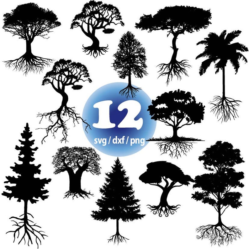 Tree Svg Bundle, Tree Silhouette Svg, Tree Vector, Tree of Life, Tree ...