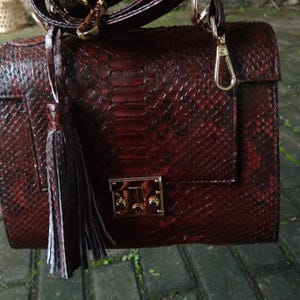 Genuine dark brown python leather top-handle handbag featuring polished gold-tone hardware and a matching leather tassel, displayed against a rustic bamboo and wood background