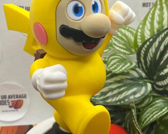 ポケモン アクリル マリオ&ルイージ ピカチュウ ポンチョ コレクション