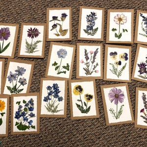 May include: A collection of handmade greeting cards featuring pressed flowers. Each card has a white interior with a deckled edge, set within a brown cardstock frame. The flowers vary in color, including purple, yellow, blue, and white.