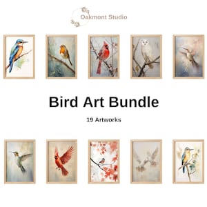 Bird 19 Set Bundle Instant Download of Bird Art for Home Décor Digital Art of Bird High Resolution Bird Variety Watercolor and Oil Paintings
