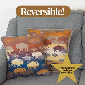 Buffalo Reversible Wool Pillow 16x16 Southwestern Statement Throw Western Bison Cowboy Brown Red Blue Yellow Tan Tribal