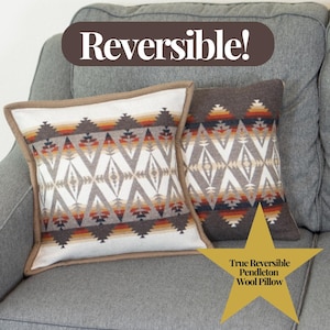 Pacific Crest Brown and White Reversible Pillow 16x16 Southwestern Statement Throw Pillow Aztec Western Tribal Cabin