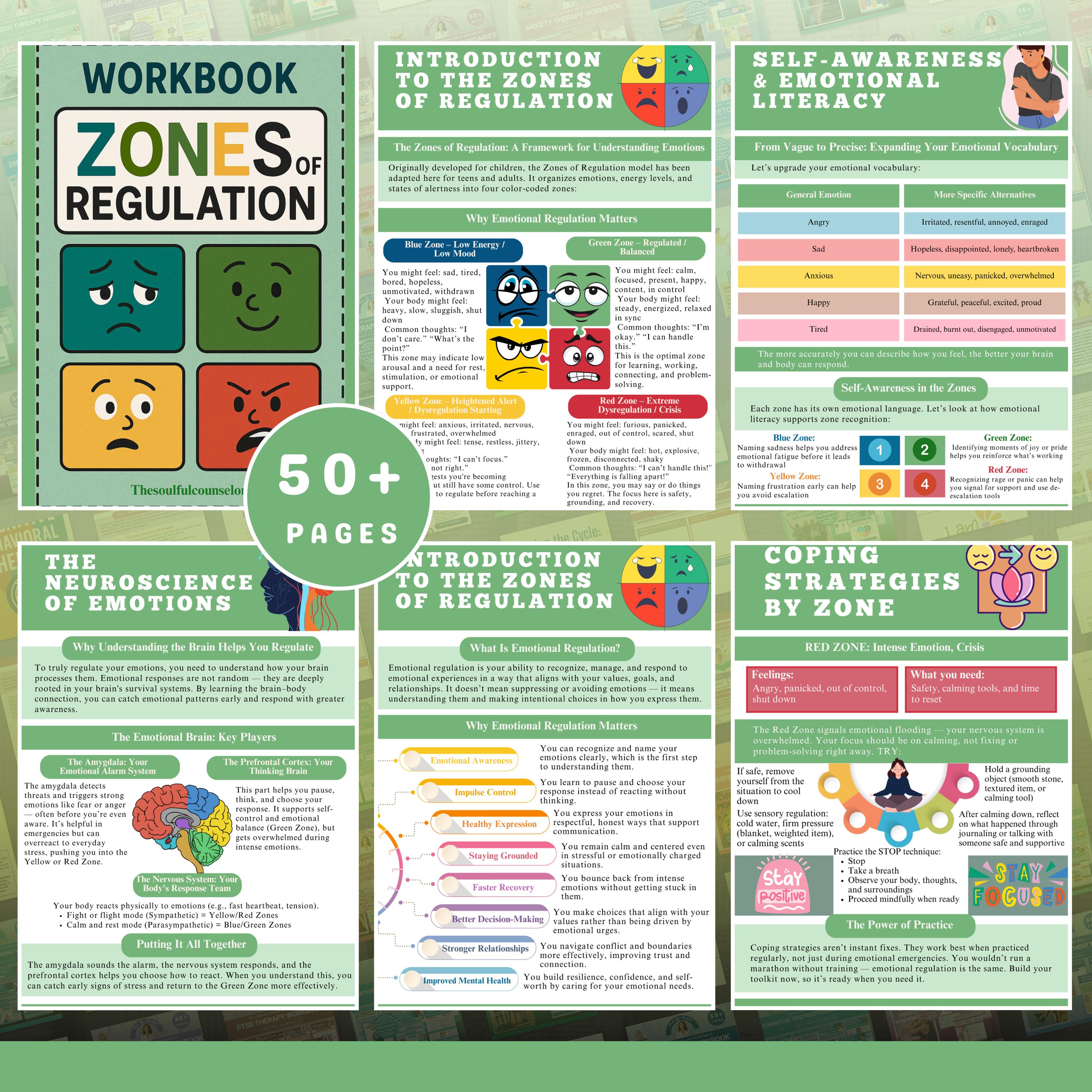 Zones of Regulation Workbook: Coping Skills for Teens & Adults ...