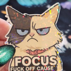 May include: A sticker featuring a grumpy cat with a two-toned brown and cream fur pattern, wearing a pink collar. The sticker has the word "FOCUS" above the phrase "FUCK OFF CAUSE YOU'RE STUPID" in bold, black text.
