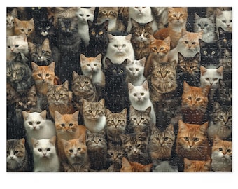 May include: A large group of cats of various breeds and colors are looking directly at the camera. The cats are arranged in a grid pattern, with some cats in the front and some in the back. The cats are all different colors, including black, white, brown, orange, and gray.