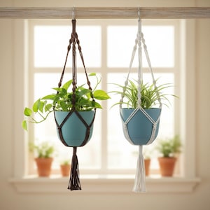 May include: Two macrame plant hangers suspended from a wooden rod. One hanger is dark brown with a green pothos plant in a teal pot, and the other is white with a spider plant in a matching teal pot. Both feature knotted cords and tassels.