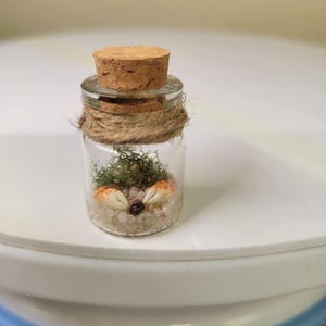 Puede incluir: Un pequeño frasco de vidrio con tapa de corcho y un adorno de cuerda. El frasco contiene arena, conchas marinas y un pequeño trozo de musgo seco.