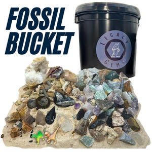 May include: A black plastic bucket labeled FOSSIL BUCKET and Legacy Gems, containing a collection of assorted raw minerals, crystals, and fossils scattered on a sandy base, including small green and orange plastic dinosaur figurines.