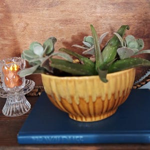 Könnte beinhalten: Eine gelbe Keramikschale mit strukturiertem Design, gefüllt mit grünen und grauen Sukkulenten. Die Schale steht auf einem blauen Buch. Links befindet sich ein kleiner Glaskerzenhalter mit einer brennenden Kerze.