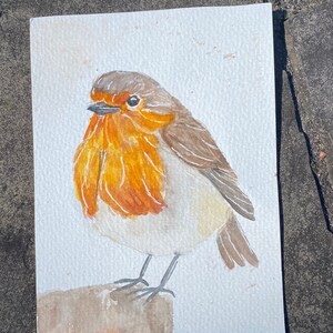 Vogel Karte