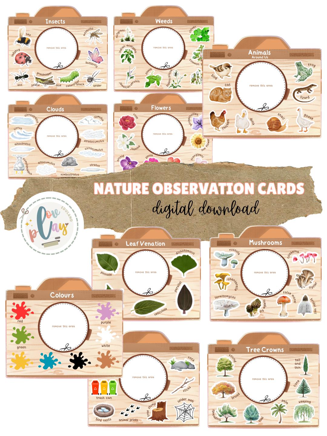 Observation Card Design Nature Observation Cards for Kids | Outdoor Learning (digital Download ...