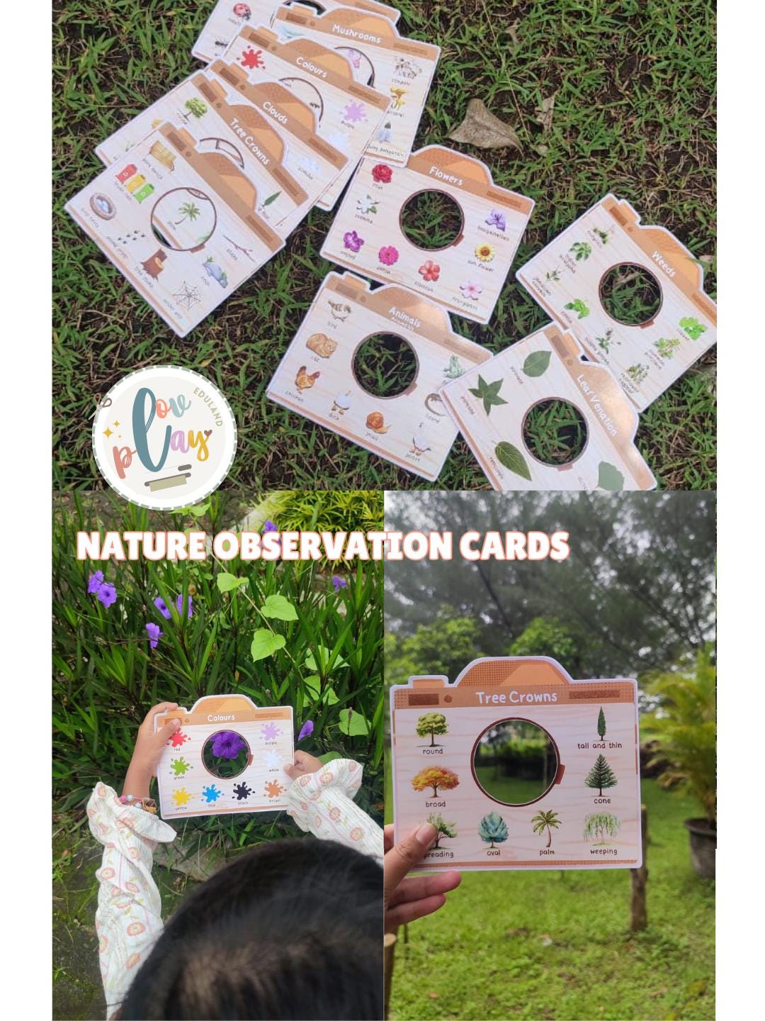 Observation Card Design Nature Observation Cards for Kids | Outdoor Learning (digital Download ...