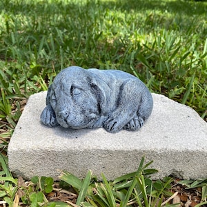 Sleeping Dog