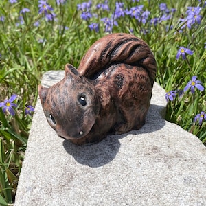 Eichhörnchen