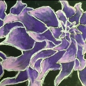 May include: A close-up of a purple and pink flower painting on a black background. The petals are a gradient of purple and pink, outlined in white. The artwork has a textured, painterly style.