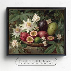 Passion Fruit Still Life Print – Vintage Botanical Art (Digital Download) image 3