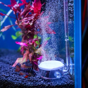 以下が含まれることがあります： 透明なガラス製のエアストーンと白い上部を備えた水槽のシーンで、泡の流れを生成しています。赤と緑の水生植物と小さな魚が見えます。背景は鮮やかな青色です。