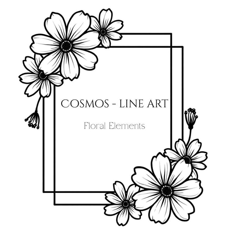 Cosmos and Borders | Botanical Line Art Clipart | Digital Download 300 ...