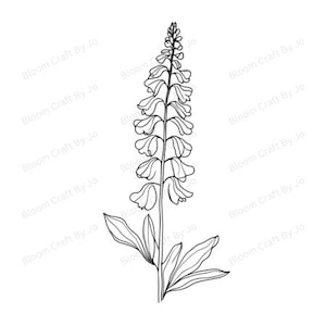 Delphinium Birth Flower Clip Art – Minimalist Botanical Line Art (Set of 10) | July Flower | Digital Download | 300 DPI