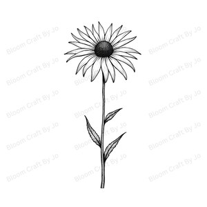 Clip art de equinácea de Tennessee / flor silvestre americana: arte lineal botánico minimalista / descarga digital / conjunto de ilustraciones de naturaleza