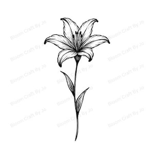 Language of Flowers – Minimalist Line Art Clipart Set | Lily (Digital Download - 300 DPI)